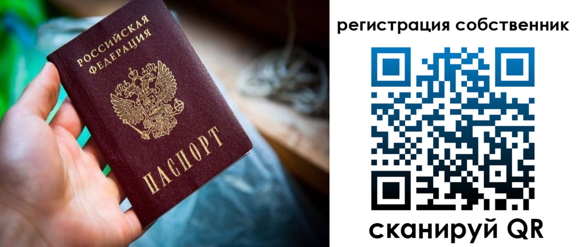 прописка гарантия в Карачеве